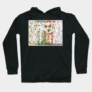 Birch Forest, Four Seasons Hoodie